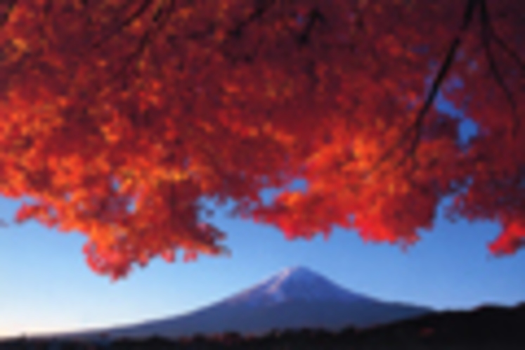秋は紅葉の季節　富士山と紅葉