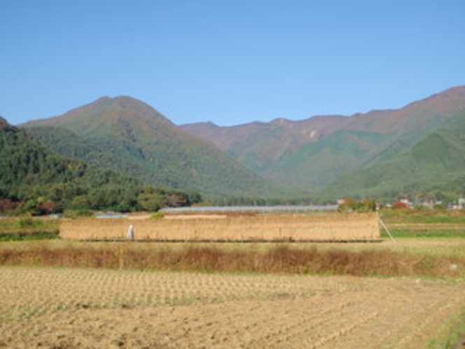 田舎の原風景！実りの秋！