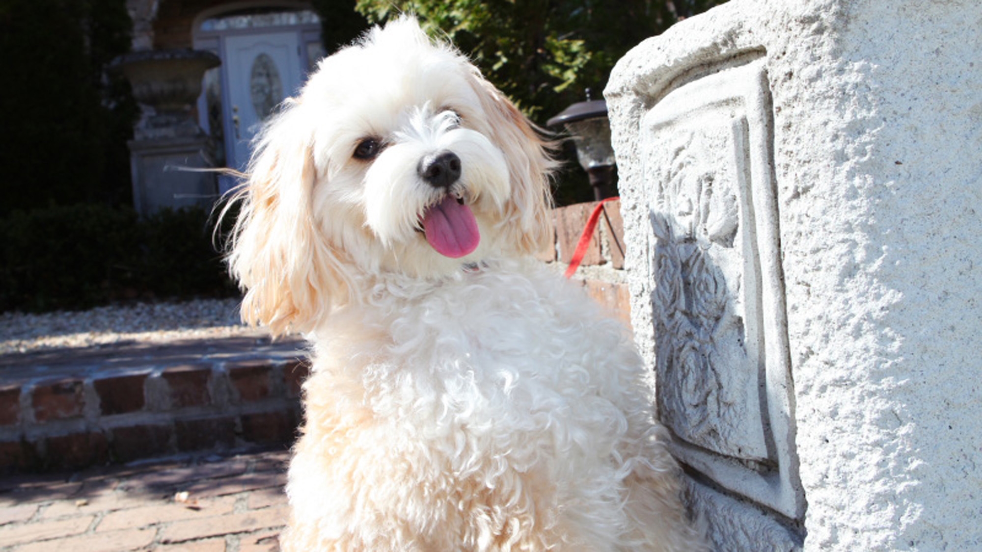 【那須 春旅２食付】春休みファミリー応援♪小学生宿泊代半額プラン。みんな一緒に那須時間を満喫しよう！
