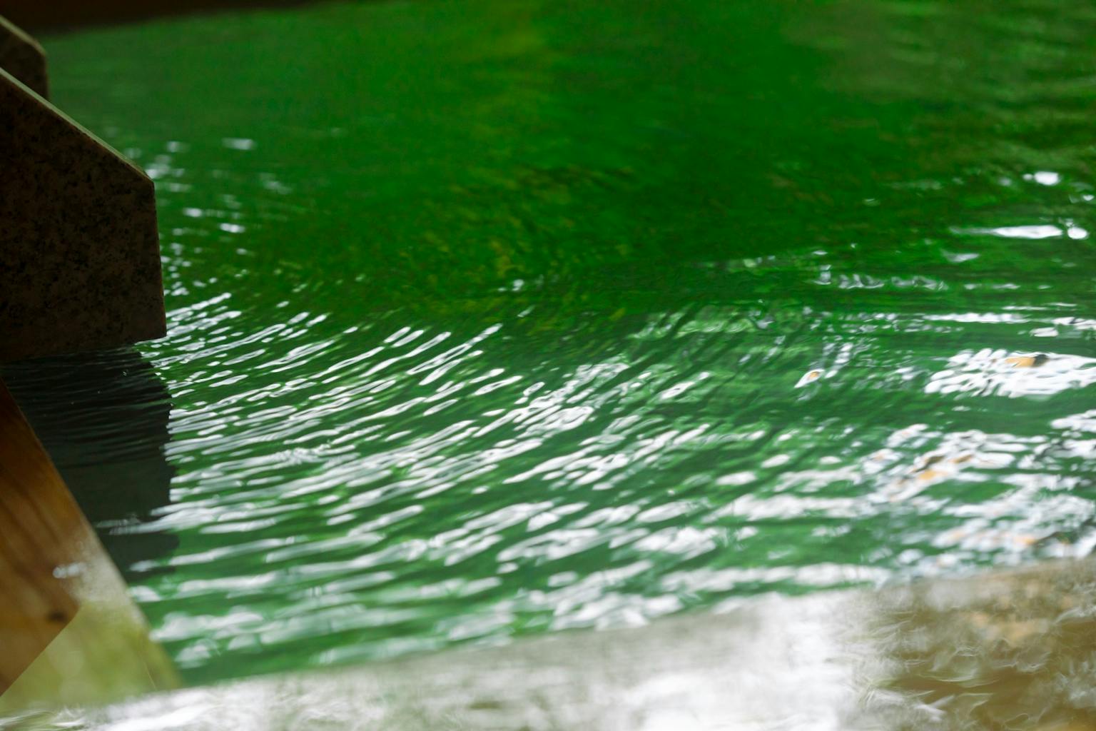 天然温泉の内風呂