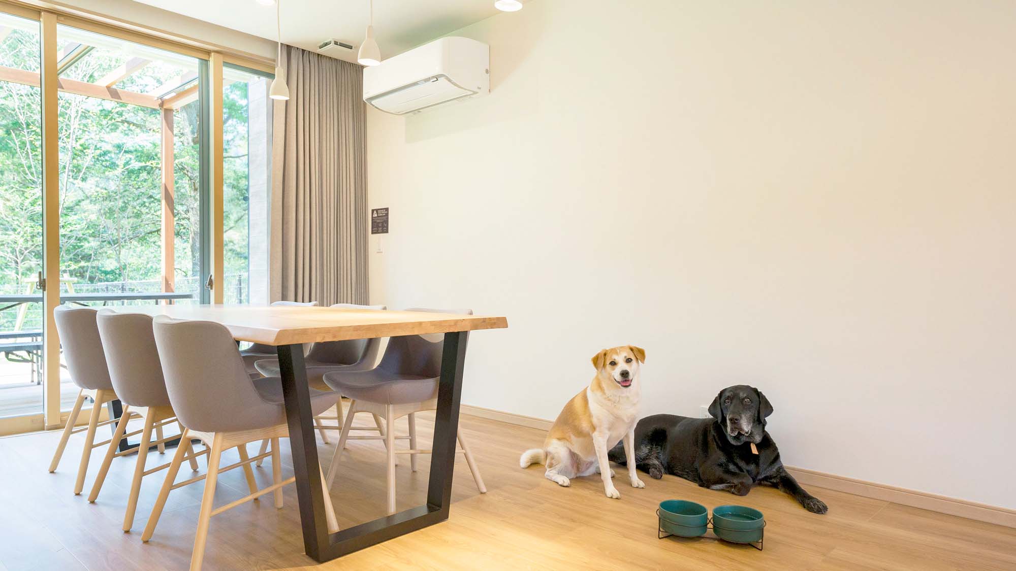 【Bタイプ：ダイニング】ワンちゃんもリラックス♪