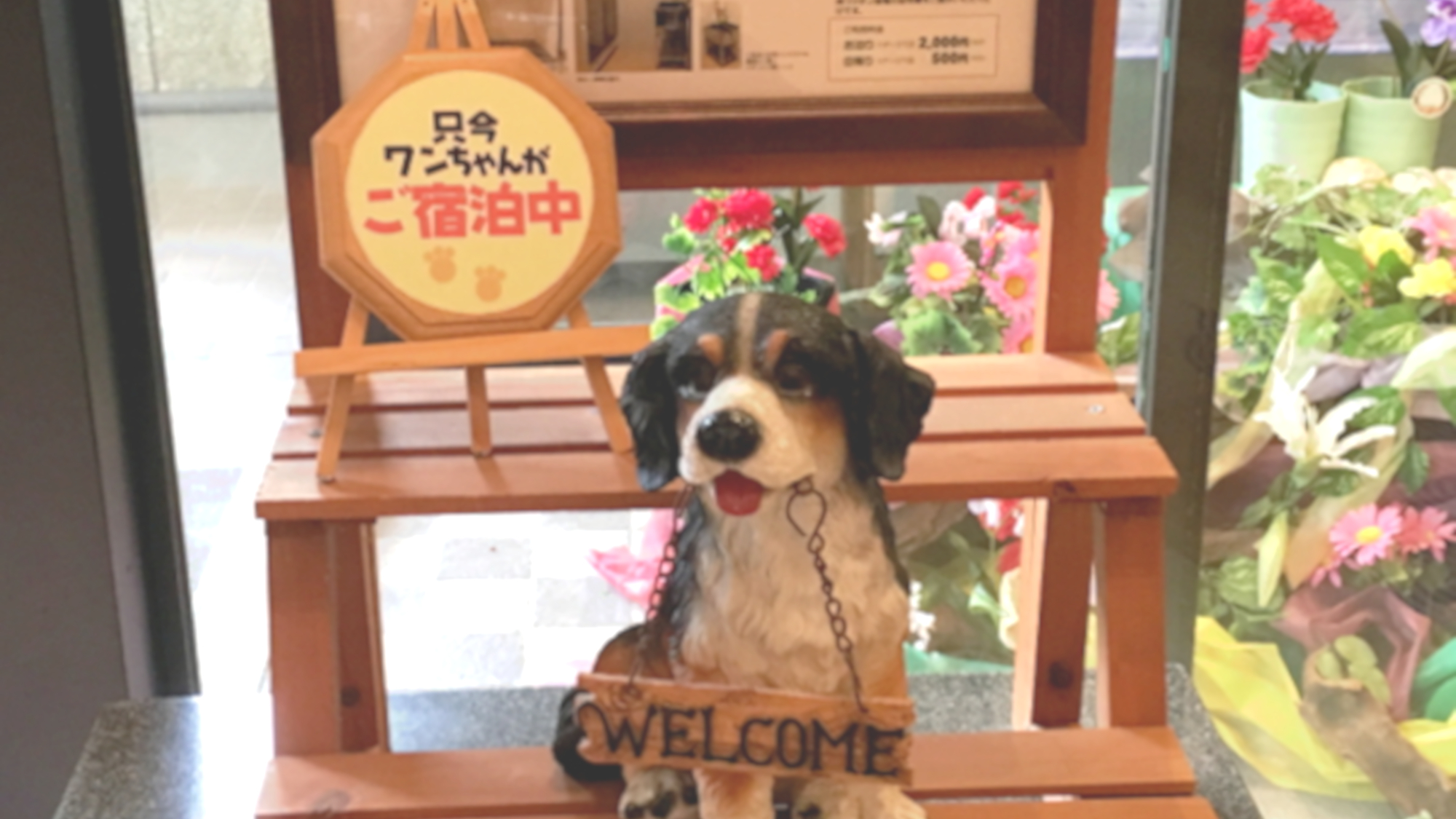 大切な家族の一員、愛犬と一緒に温泉旅行へ♪