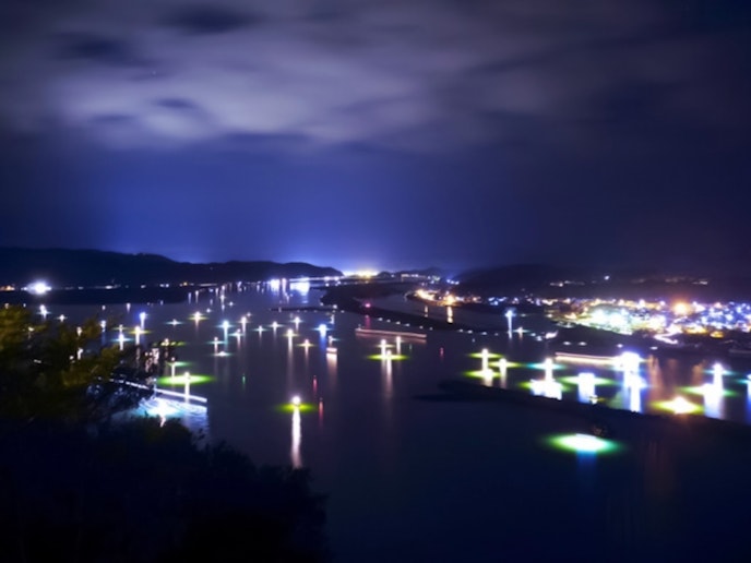 ・【シラス漁】川面を艶るシラスウナギ漁の「灯」。キラキラと光る川はまるで星空のようです※12月～4月