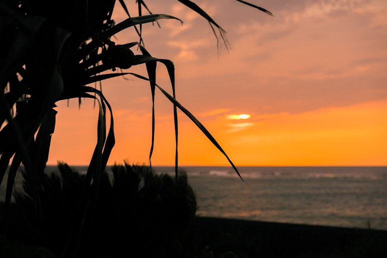 この、東シナ海に落ちる夕陽は心に沁みわたります。