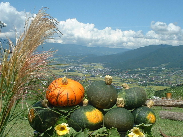 Pumpkin