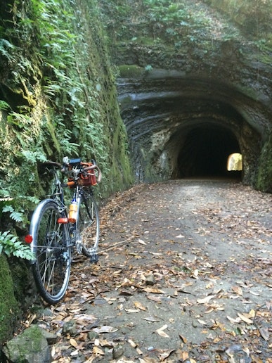 千倉といえば林道や素掘りトンネル巡り。