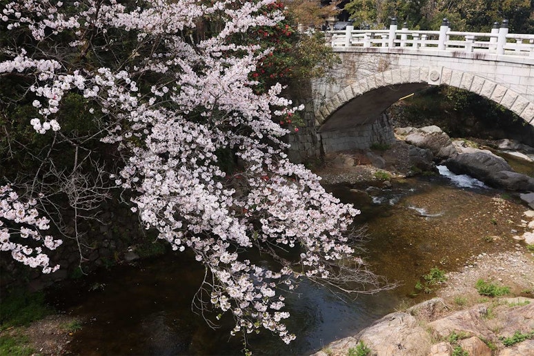 みずまの宿の裏を流れる近木川。右上に映っているのは水間寺の厄除橋です。（水間寺前の歩道から撮影）