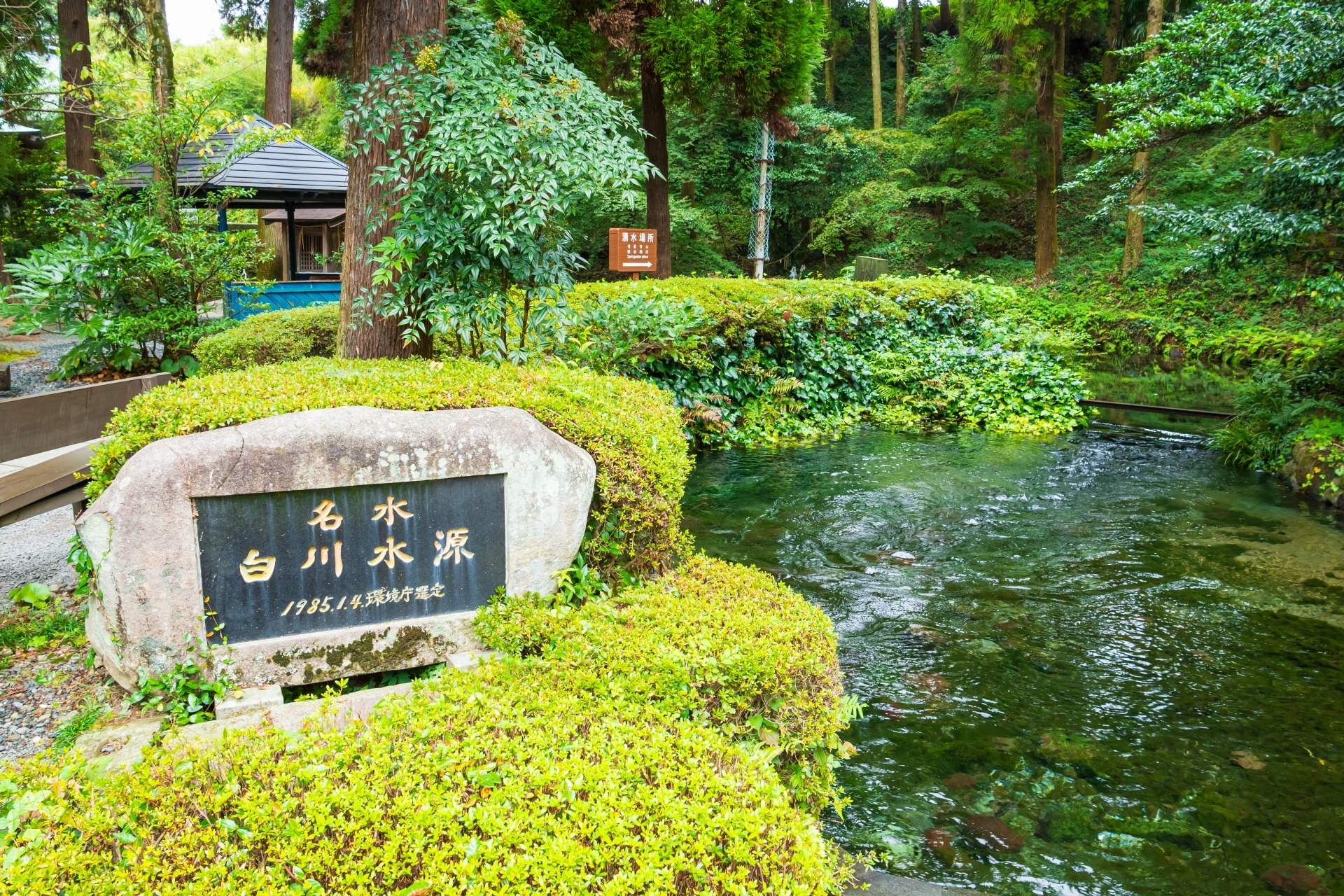白川水源です。地下から湧き出す水がとても涼しげです。
