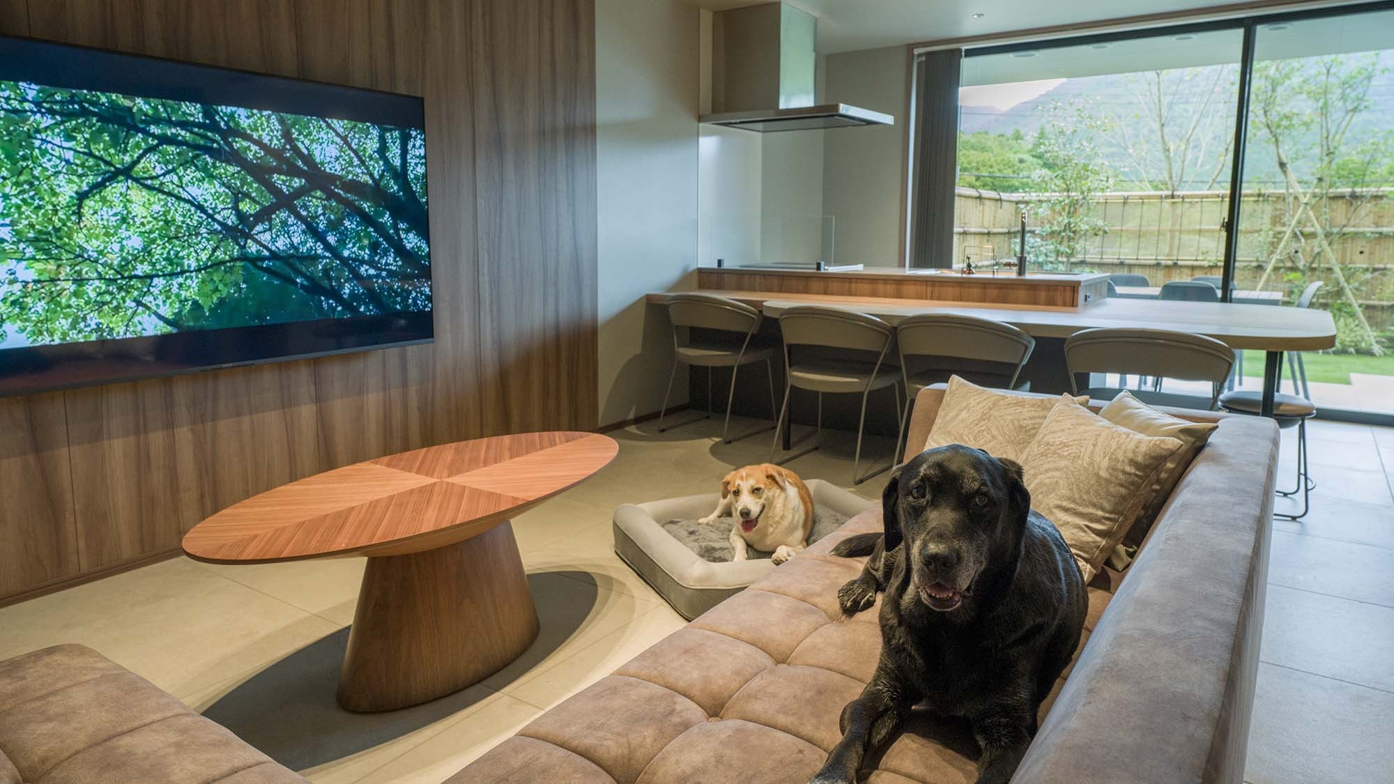 【D】2クイーンベッド+小上り(ドッグフレンドリー)