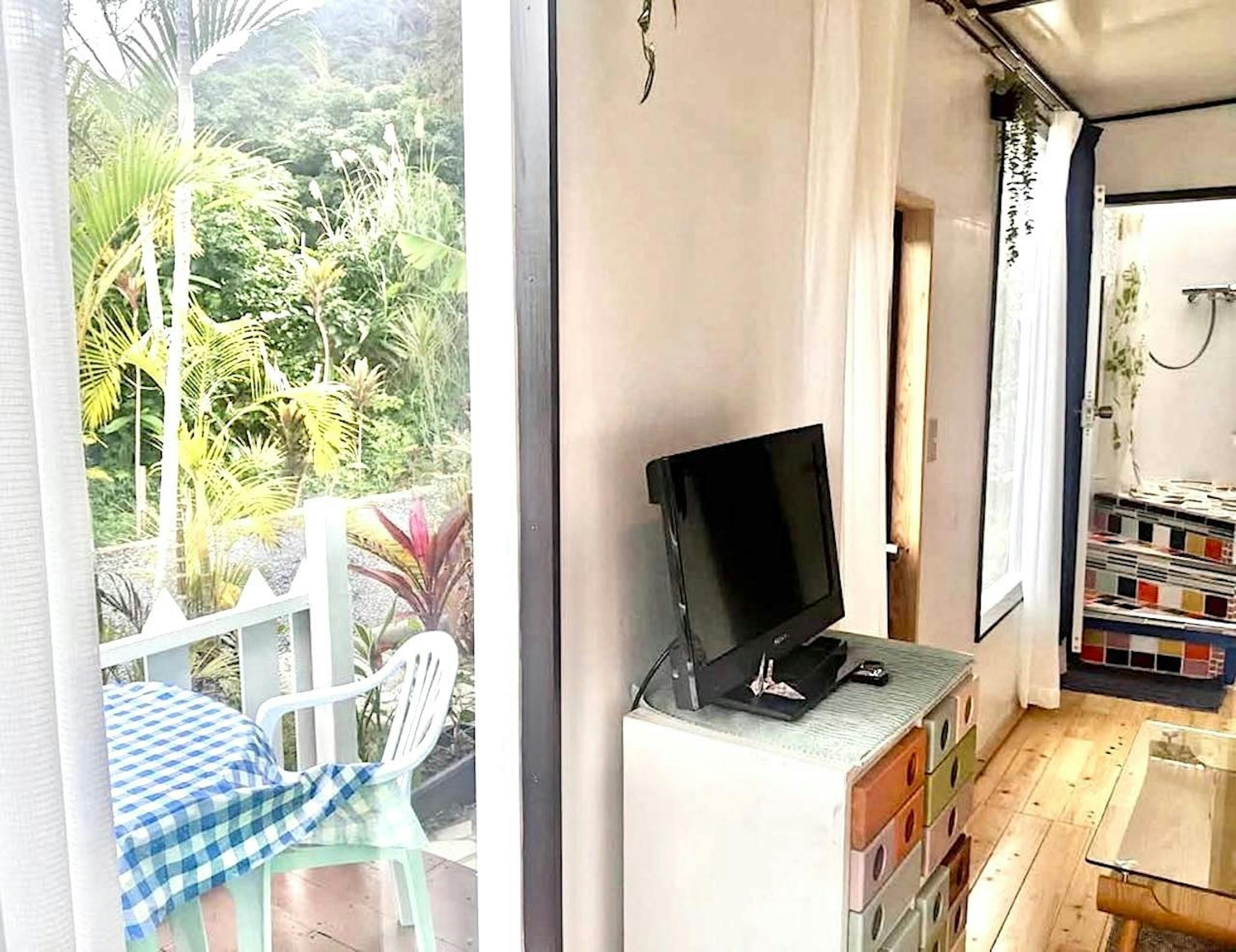 cozy living room with nice view