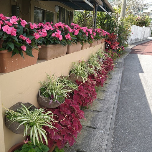 季節の花が楽しめる