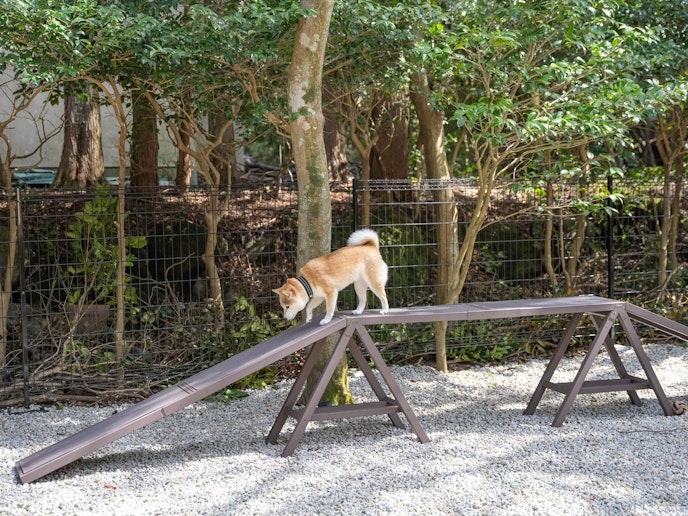 ・【ドッグラン】砂利は犬の足に優しいものを使用しております