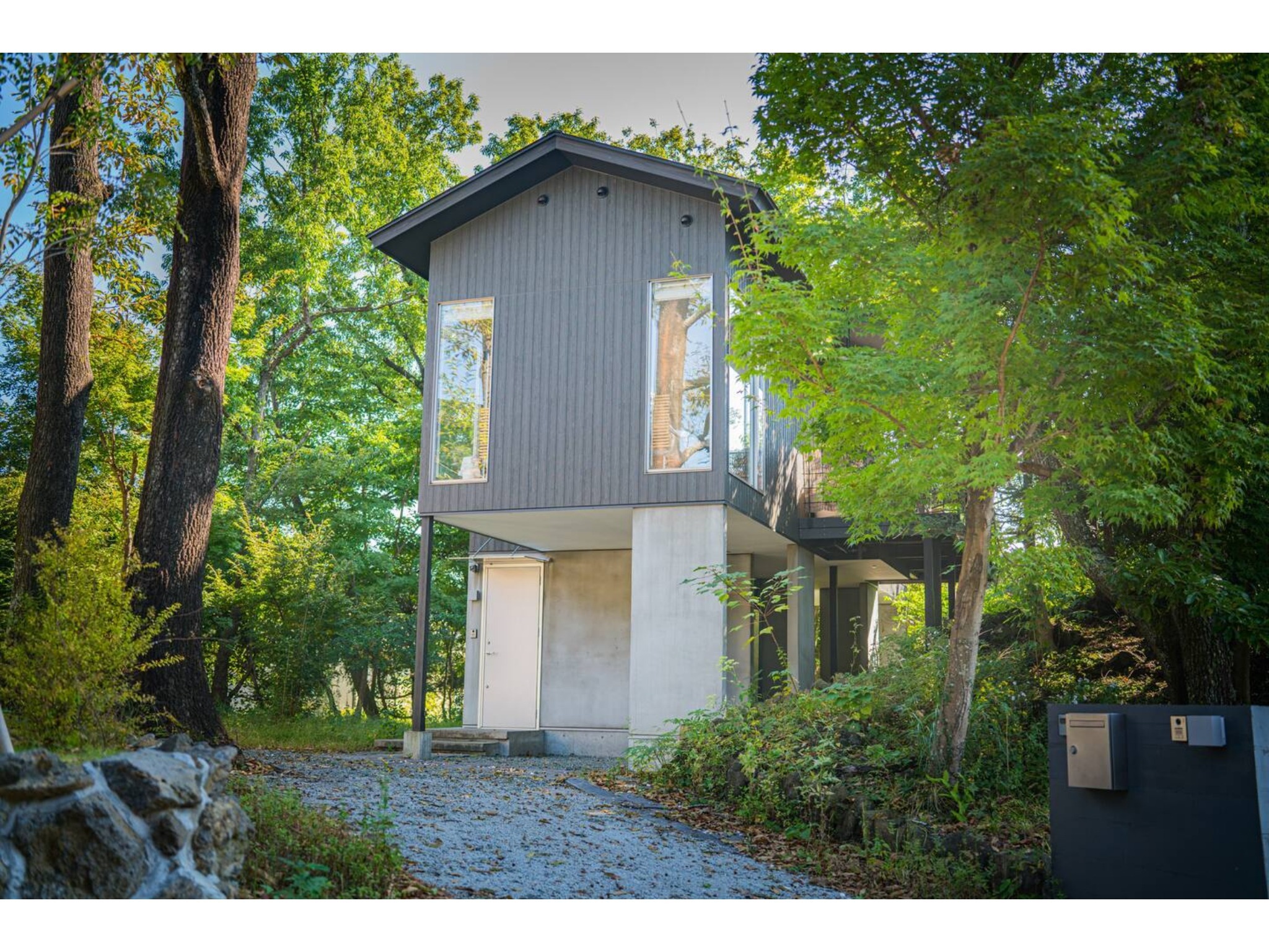 リスも現れる自然に囲まれた一軒家