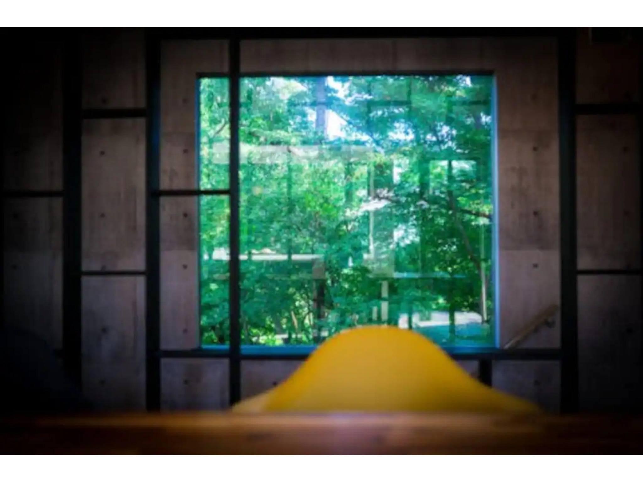 開放的な窓から豊かな緑を