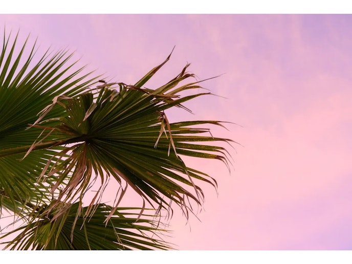 芝生エリアで寝転んで美しい夕空をご堪能ください。