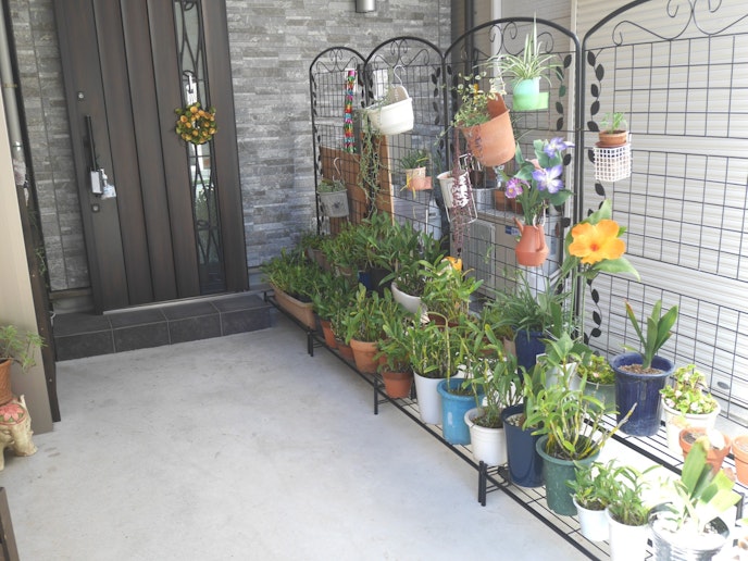 玄関外は綺麗な装飾をしております。