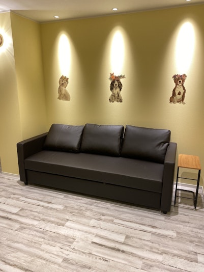 ベッドにもなるソファー