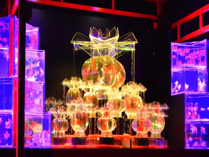 ・【周辺】幻想的な雰囲気のアートアクアリウム展