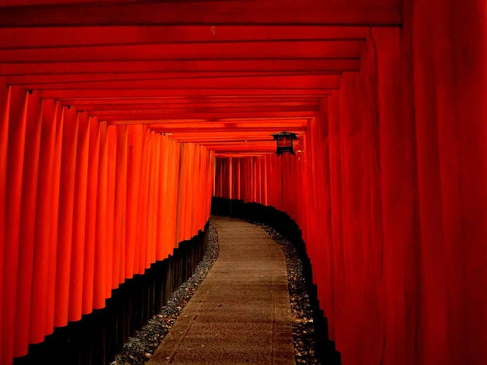 ・【周辺　京都】約4キロにもわたる鮮やかな朱の道　伏見稲荷大社　千本鳥居