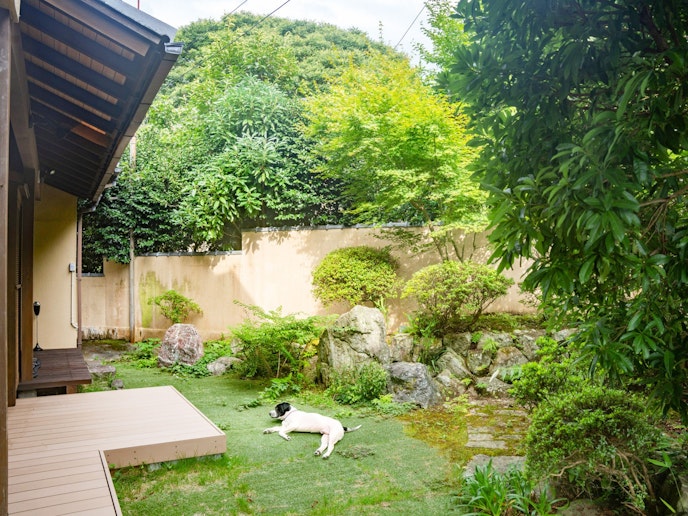 ・【ドッグラン】ドッグランを兼ねたお庭で愛犬を安心して遊ばせることができます