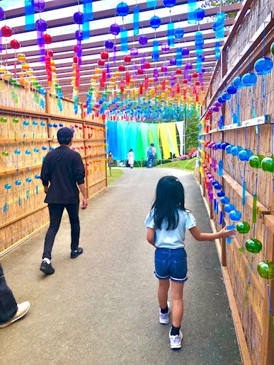 びわこ箱館山まで車で20分弱