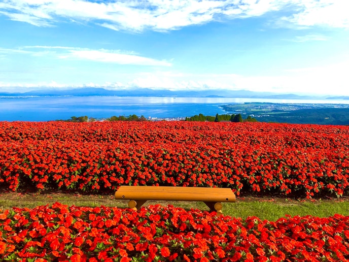 びわこ箱館山まで車で20分弱