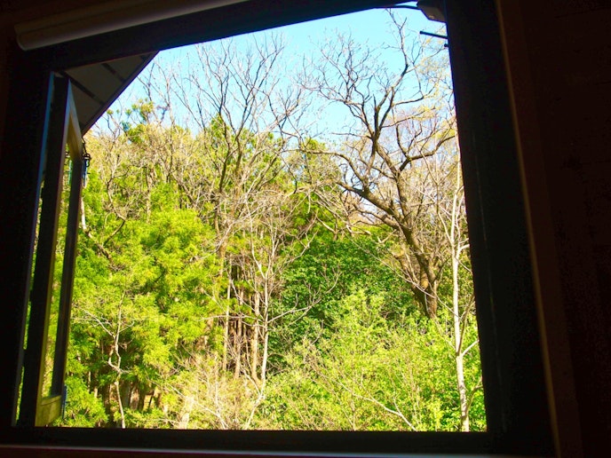 ロフトからの眺め