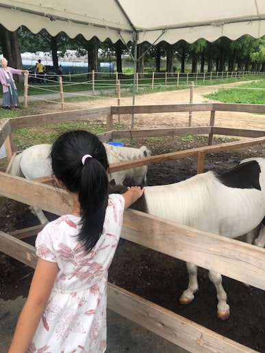 ピックランドで動物と触れ合い