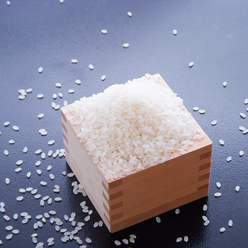 【食材一例】お米は丹後産こしひかりを使用しています