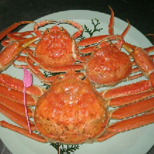 松葉がに（オス）とセコかに（メス）の一例