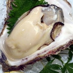 2026【香住の3RED】香住の赤食材尽くし！焼蟹＋但馬牛ステーキ＋のど黒塩焼平日岩牡蠣プレ！