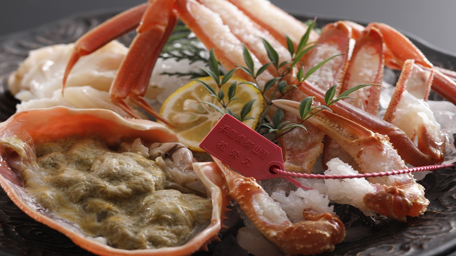 2025《松葉がにプラン》【冬得】★鮮度が勝負！ブランド蟹「但馬5漁港の但馬松葉がに」のカニ刺付♪ 