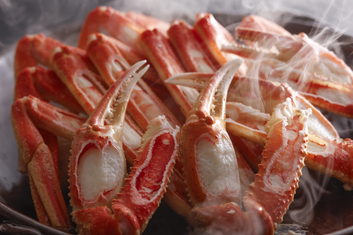 2025『松葉蟹＆但馬牛ステーキ』平日限定！欲張りな貴方へ〜鍋・焼き・肉！