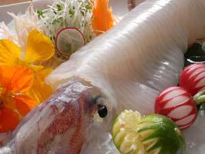 夏　｢活いかの姿造り｣