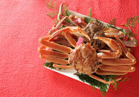 香住の地蟹　松葉蟹