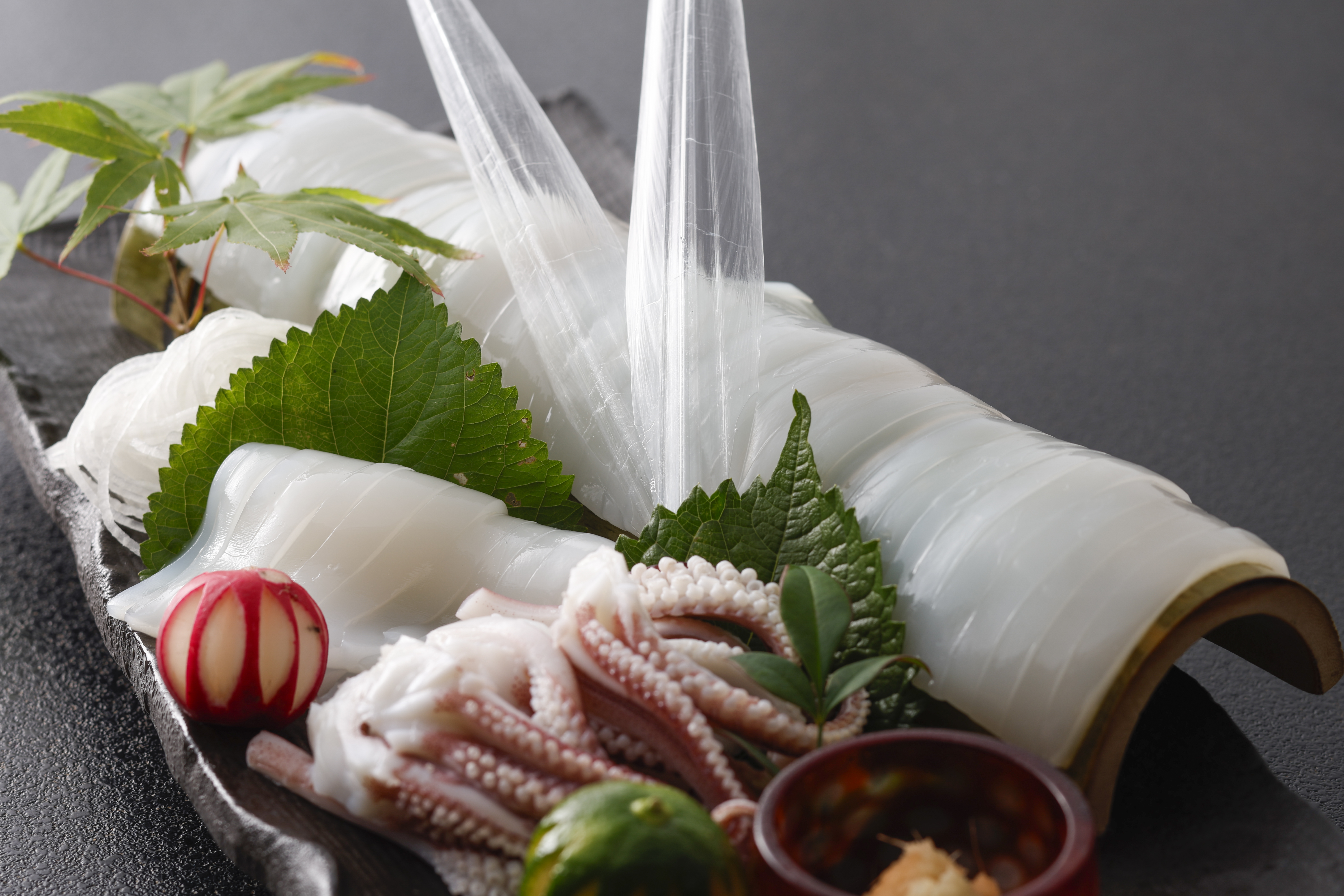 朝獲れイカ造り