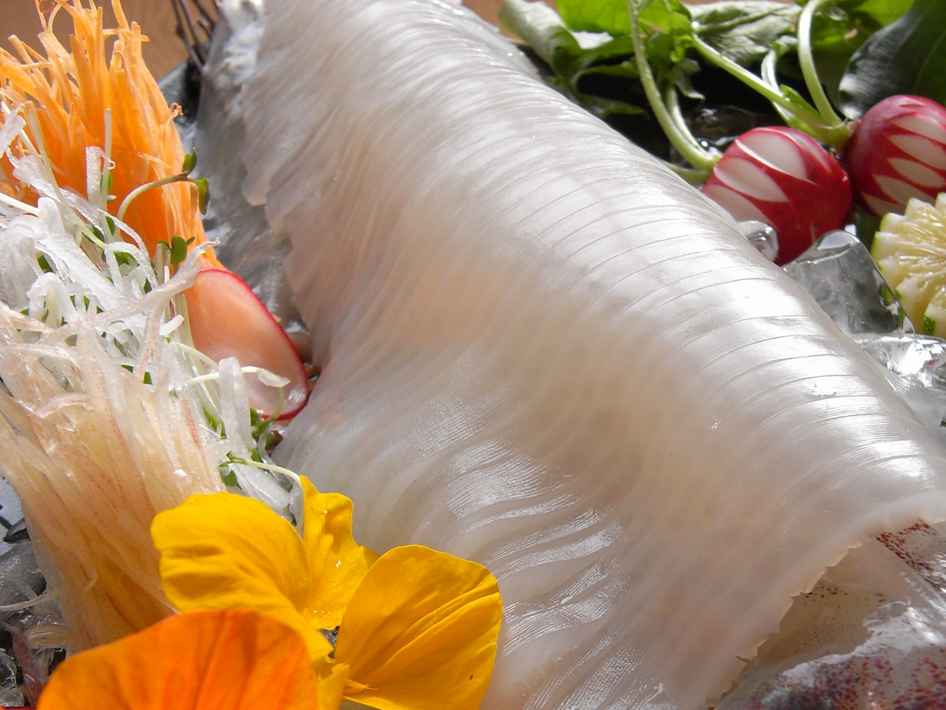 朝獲れイカのお造り