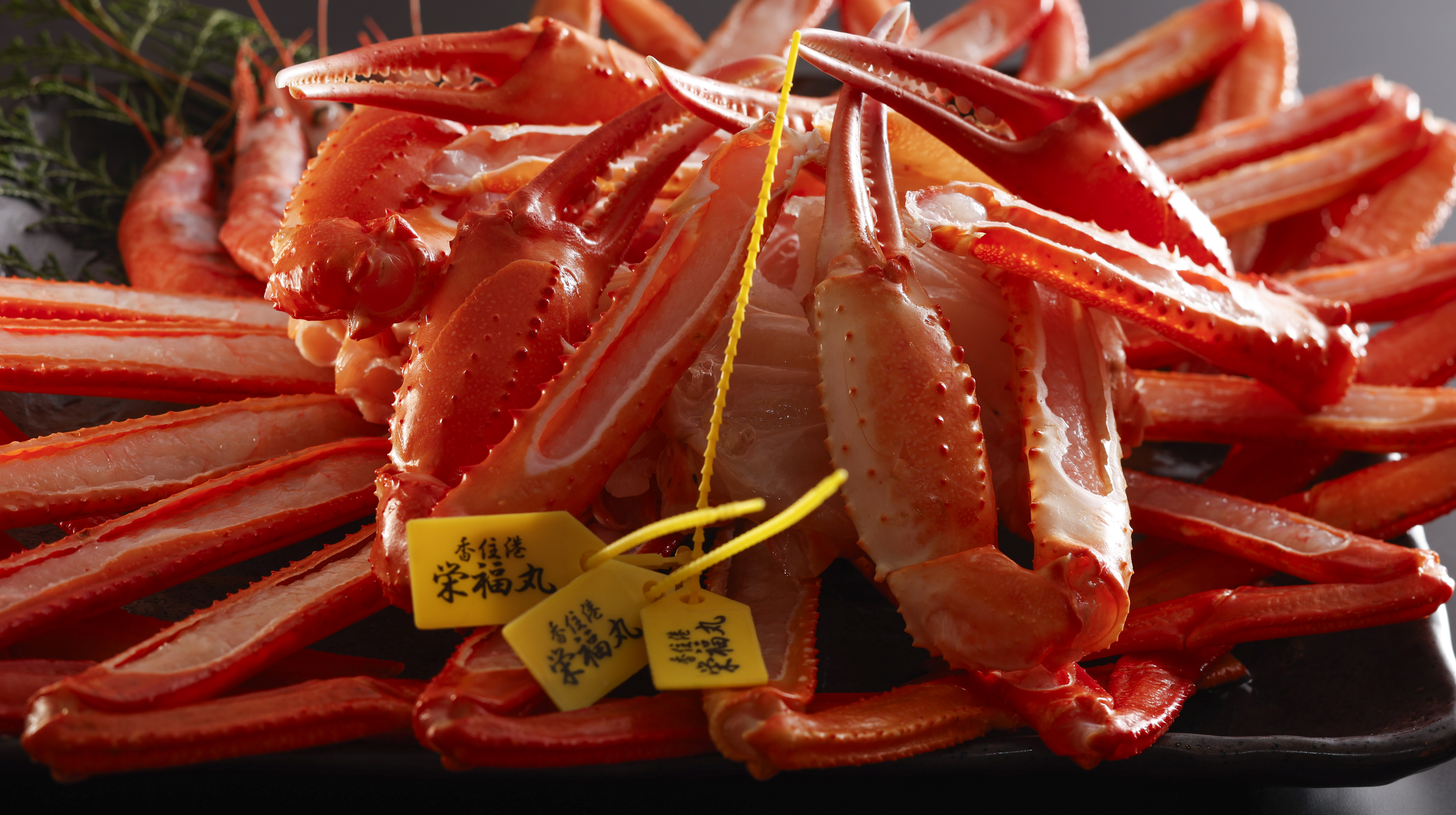 香住蟹盛付イメージ