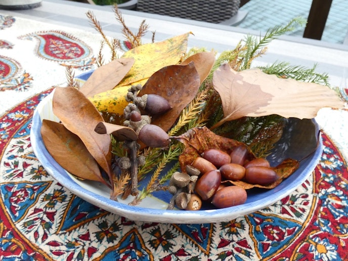 自然を楽しんで