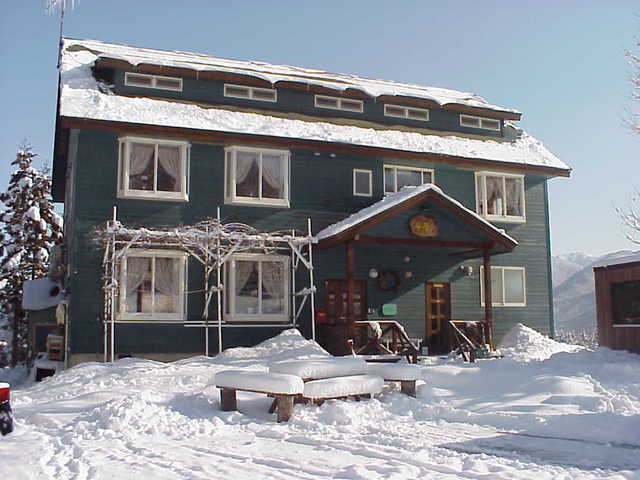 Winter Appearance