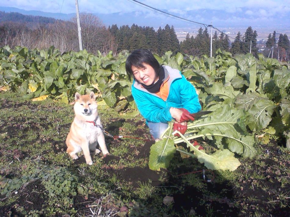 ★スキー＆スノボ★　愛犬と一緒にお泊りプラン　◆小型犬2頭まで　隣のグランドで大ハシャギ！