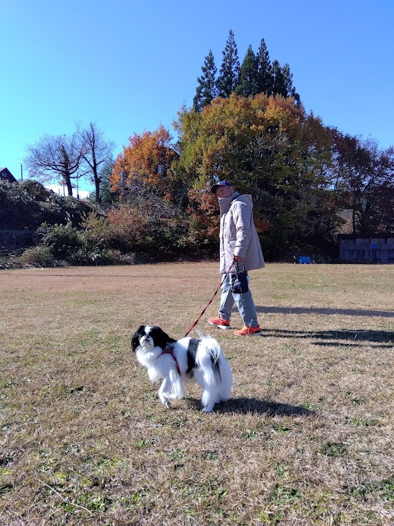 〇グリーンシーズン〇　童夢　愛犬と一緒にお泊りプラン　専用ドッグランで遊びましょう　　1泊2食付き