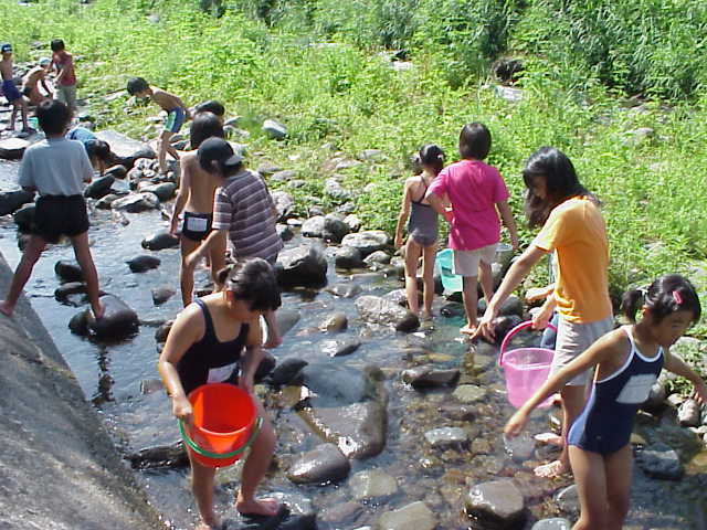 Catching rainbow trout