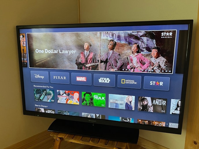 無料ストリーミング（ディズニー＋、プライムビデオなど）