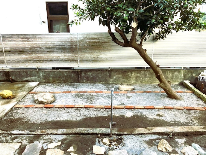 居間から庭を望む