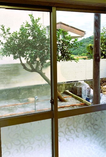 居間から庭を望む