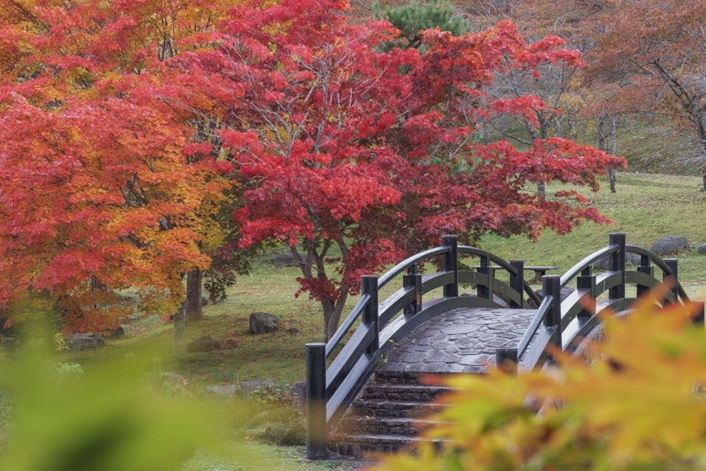 ダム公園(秋10月11月頃)