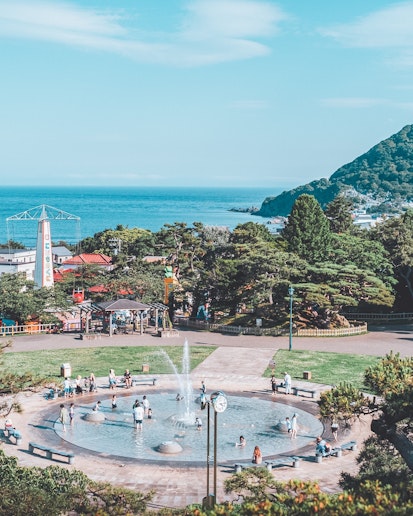 函館公園(夏7月8月頃)