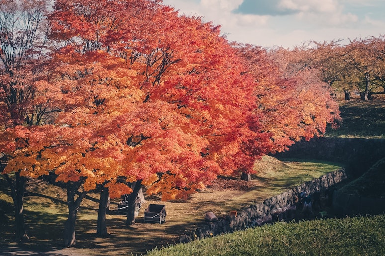 五稜郭公園(秋10月頃)