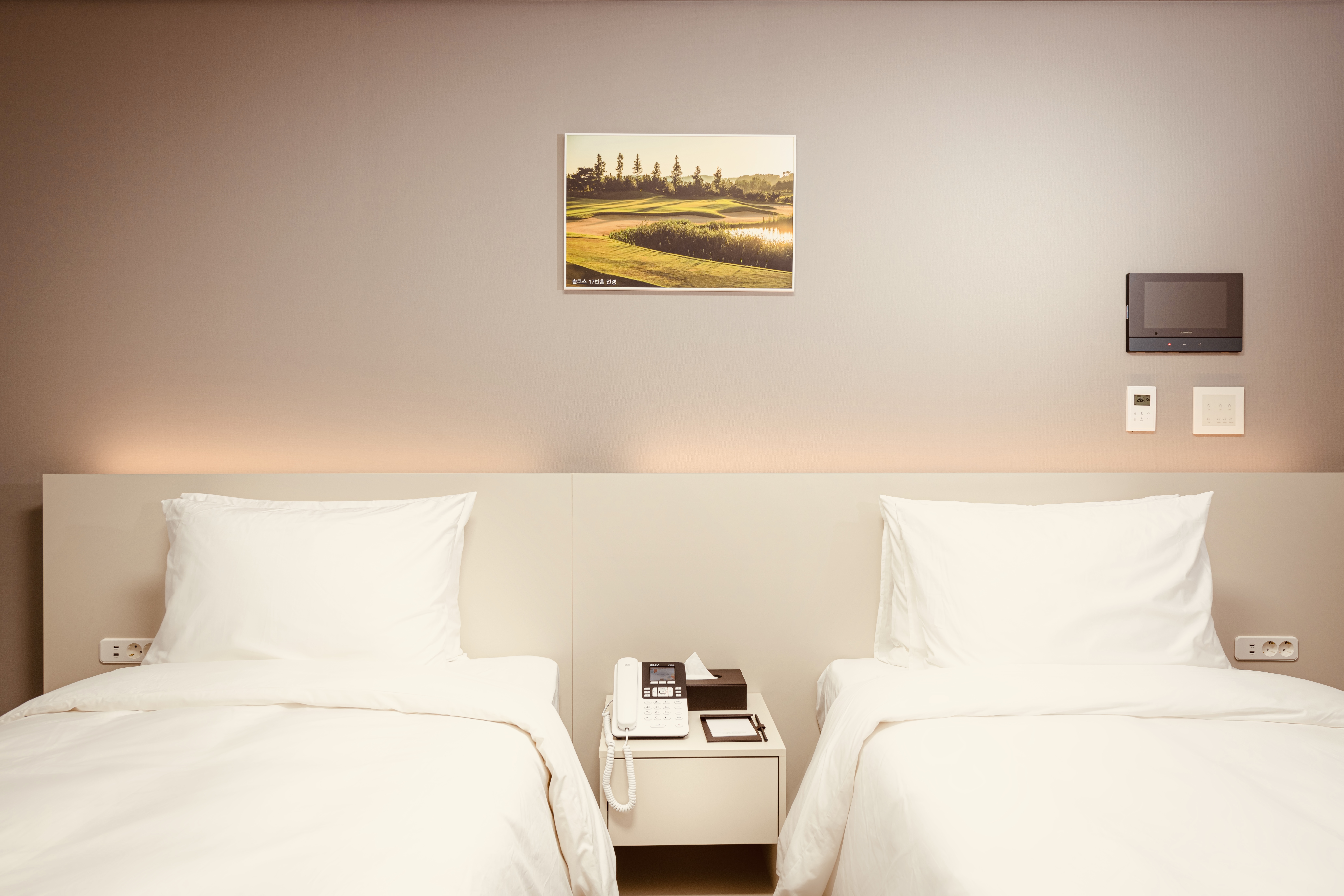 デラックスツイン